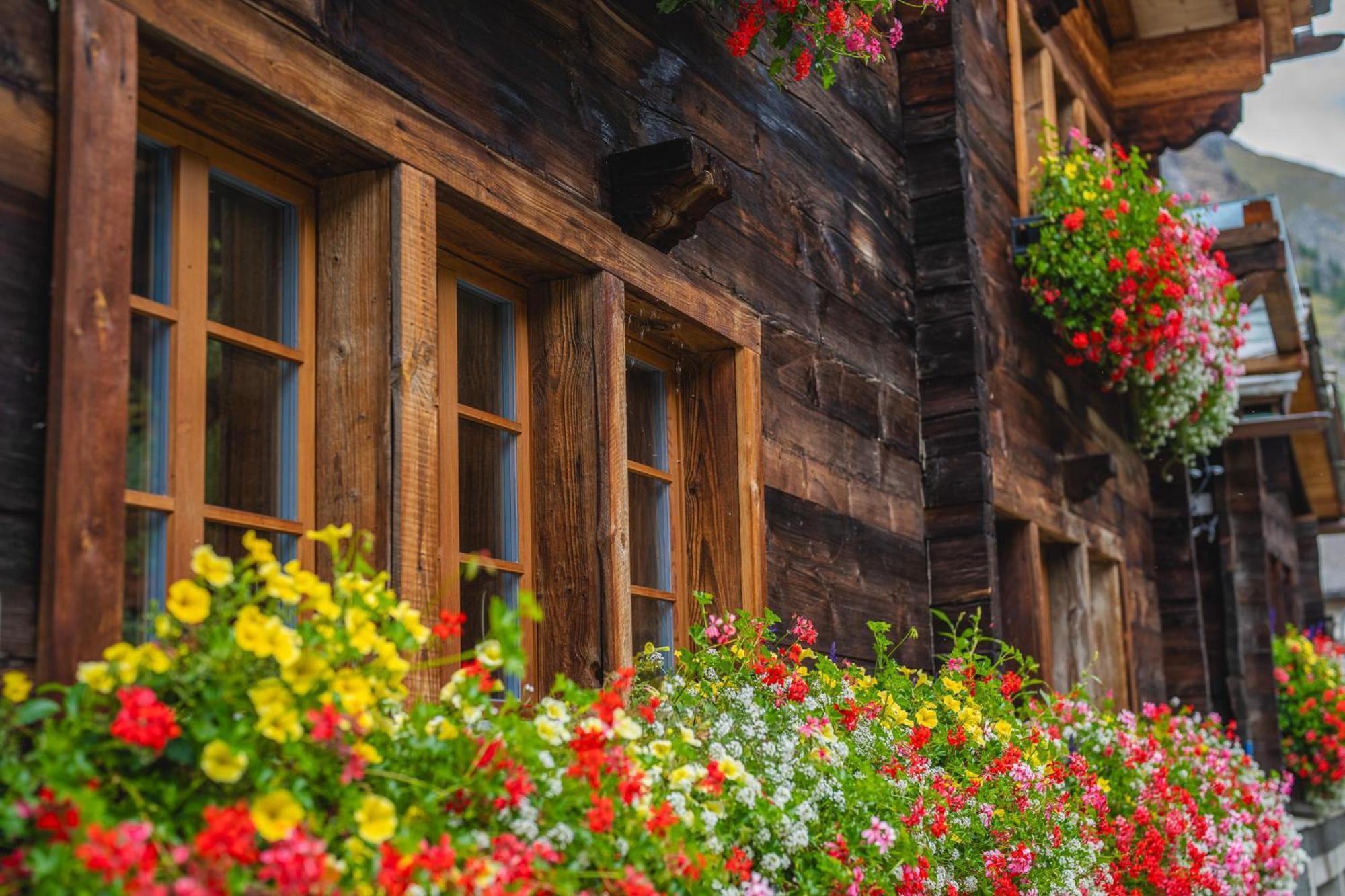 Chalet Schuler 체르마트 외부 사진